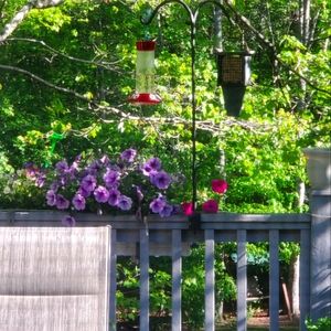 Meet your Posher, Lavender